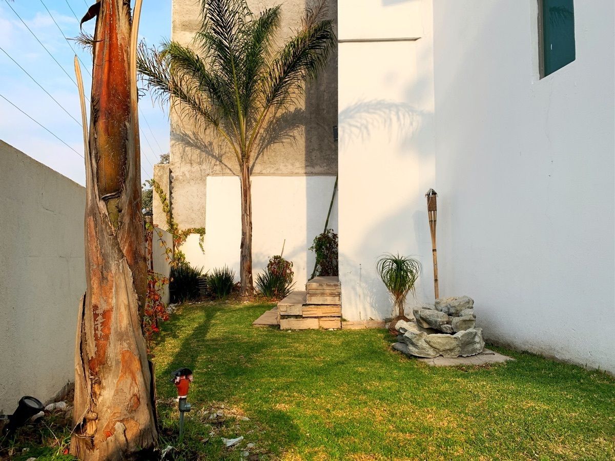 19 de 24: Jardín trasero 