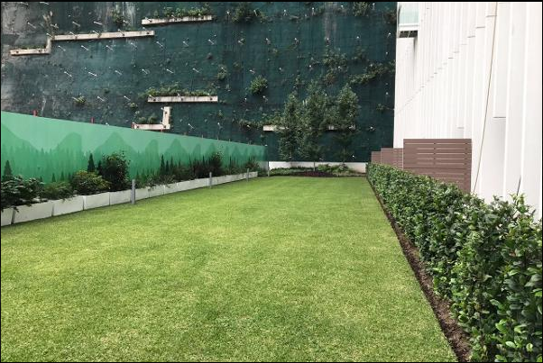 8 de 12