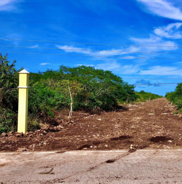 Imagen de producto de CLASCO