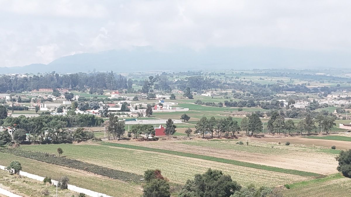 19 de 20: Vista desde dentro de casa