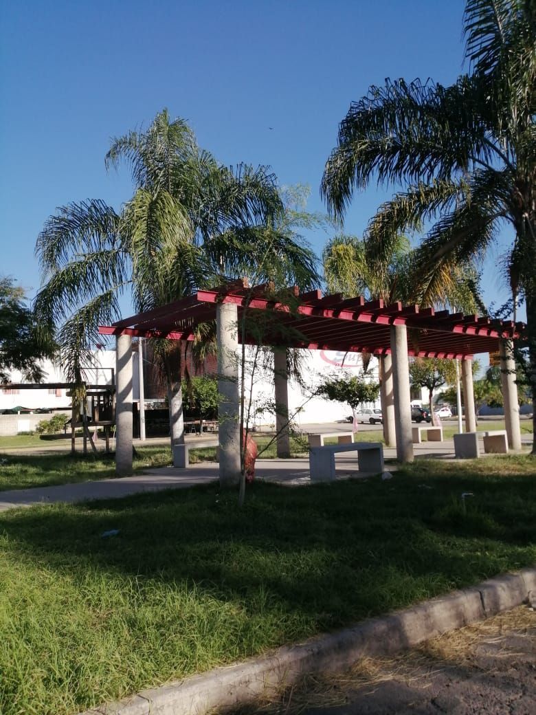 1 de 17
