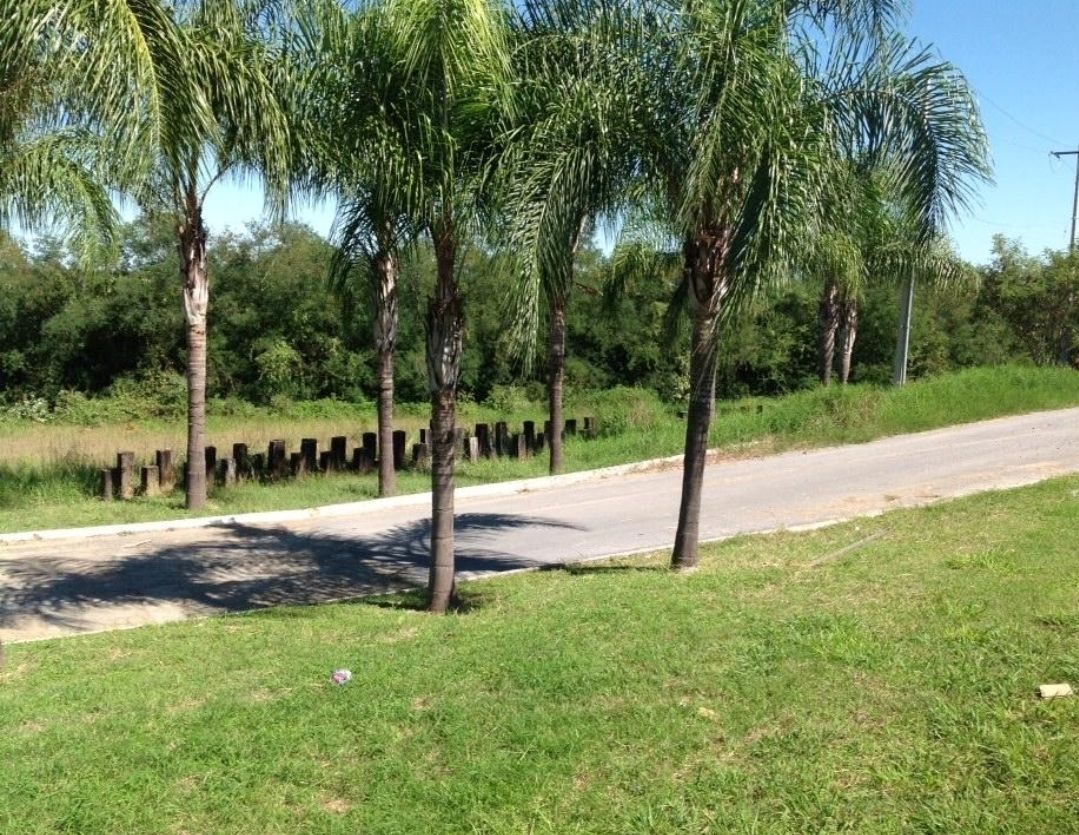 3 de 4