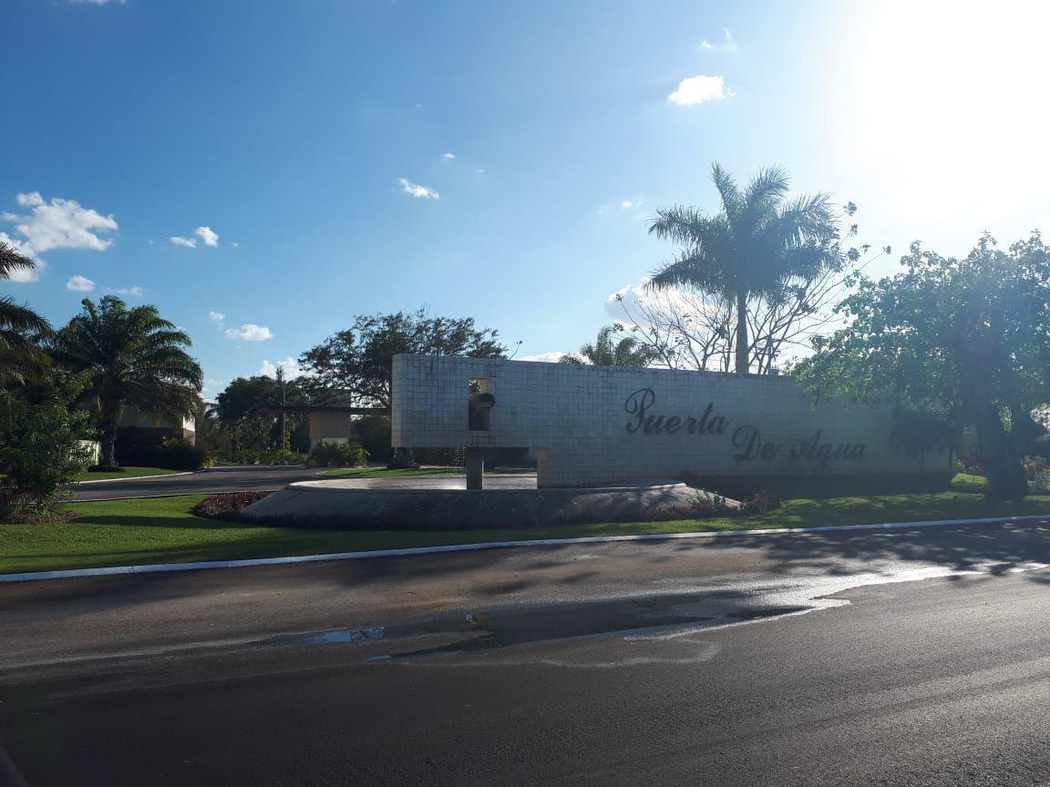 4 de 29