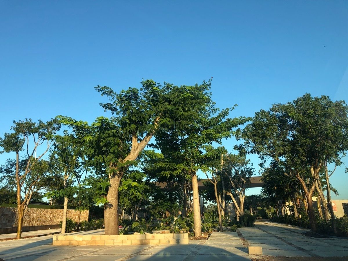 15 de 21: ENTRADA