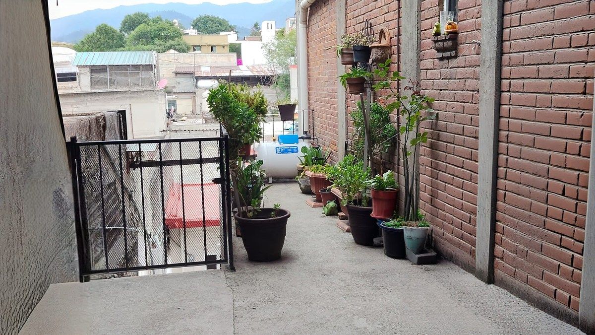 2 de 24