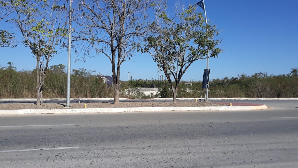 https://assets.easybroker.com/property_images/2020280/30937971/EB-GT0280.png?version=1760555837