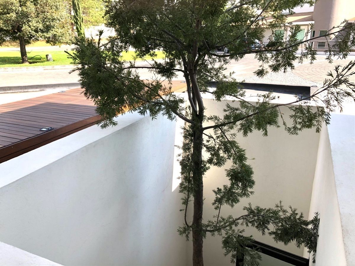 32 de 34