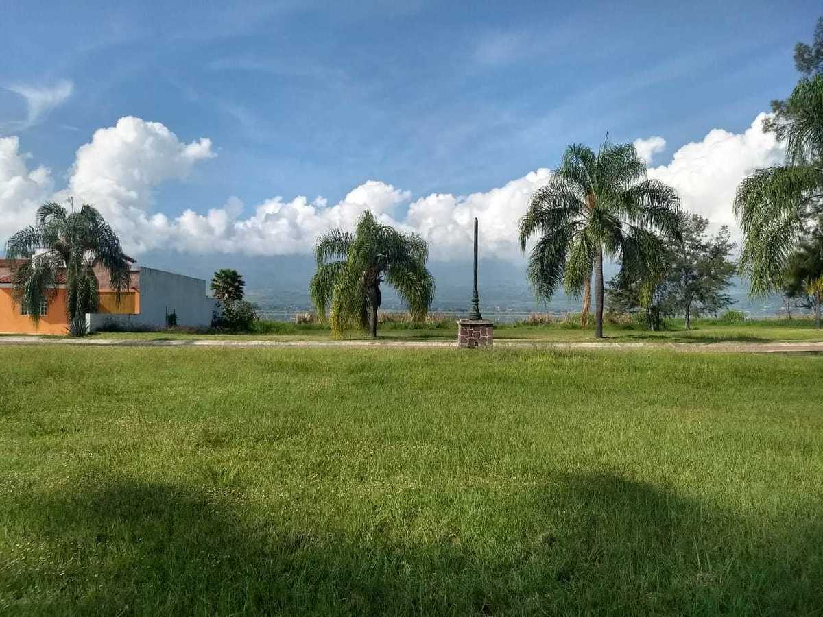 5 de 12