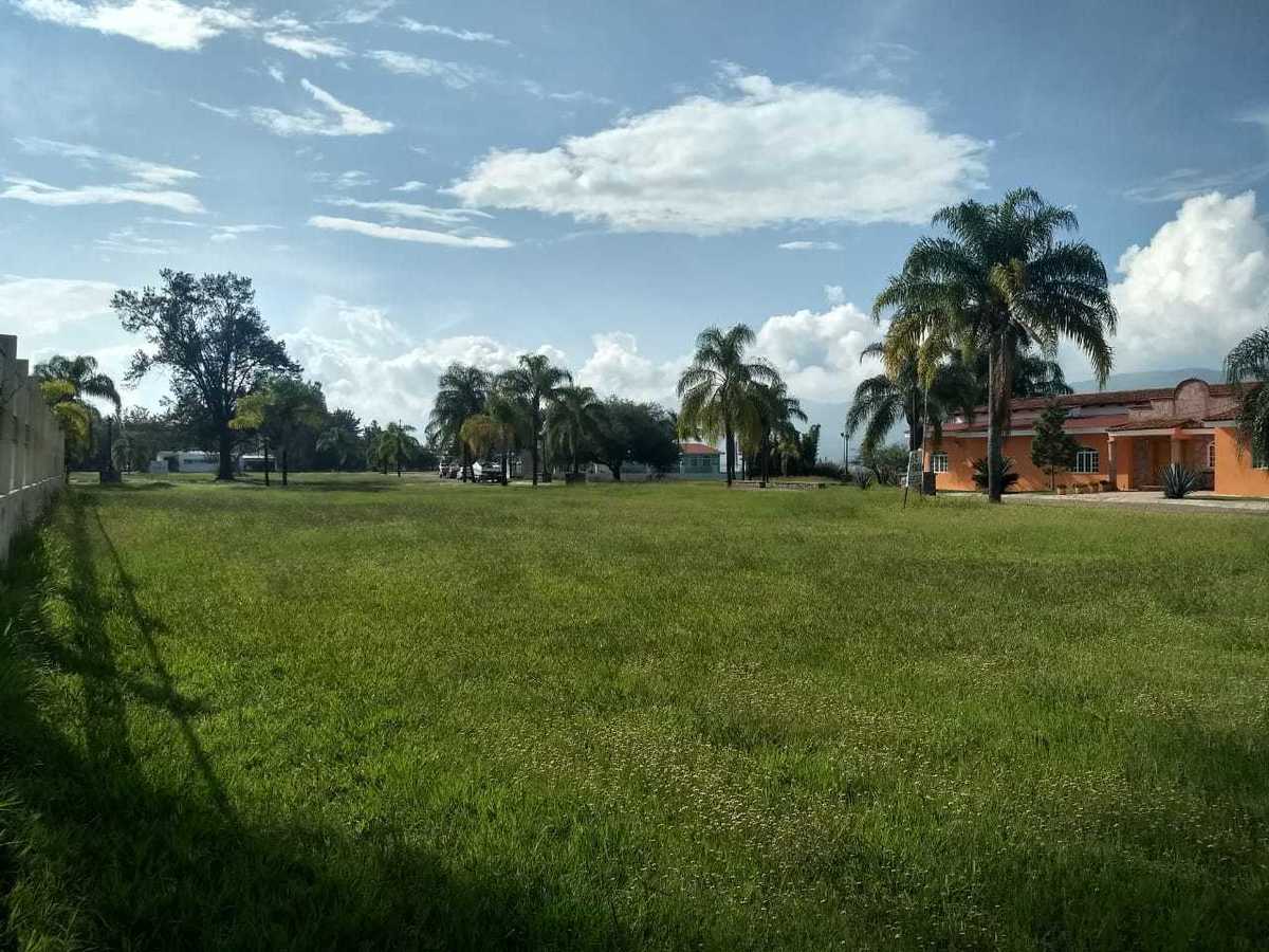 3 de 12
