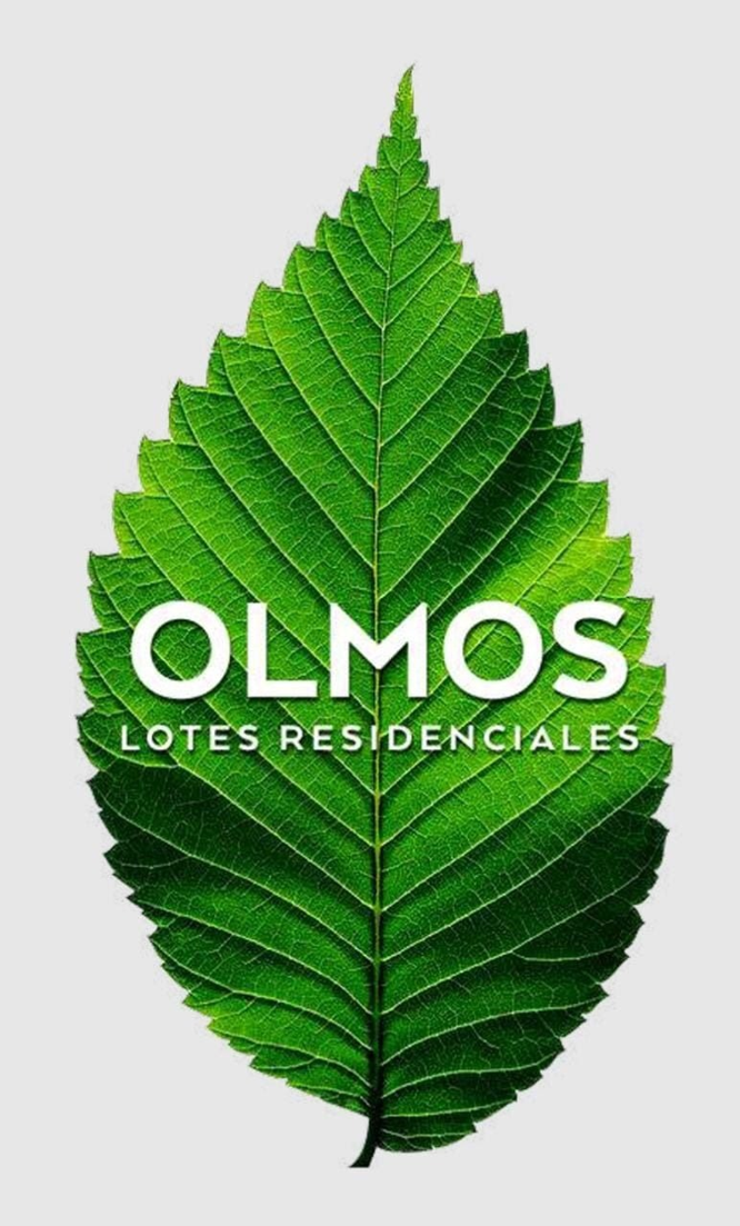 1 de 2