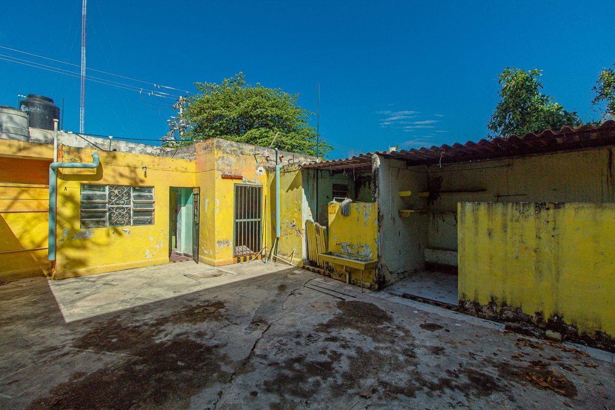 4 de 14