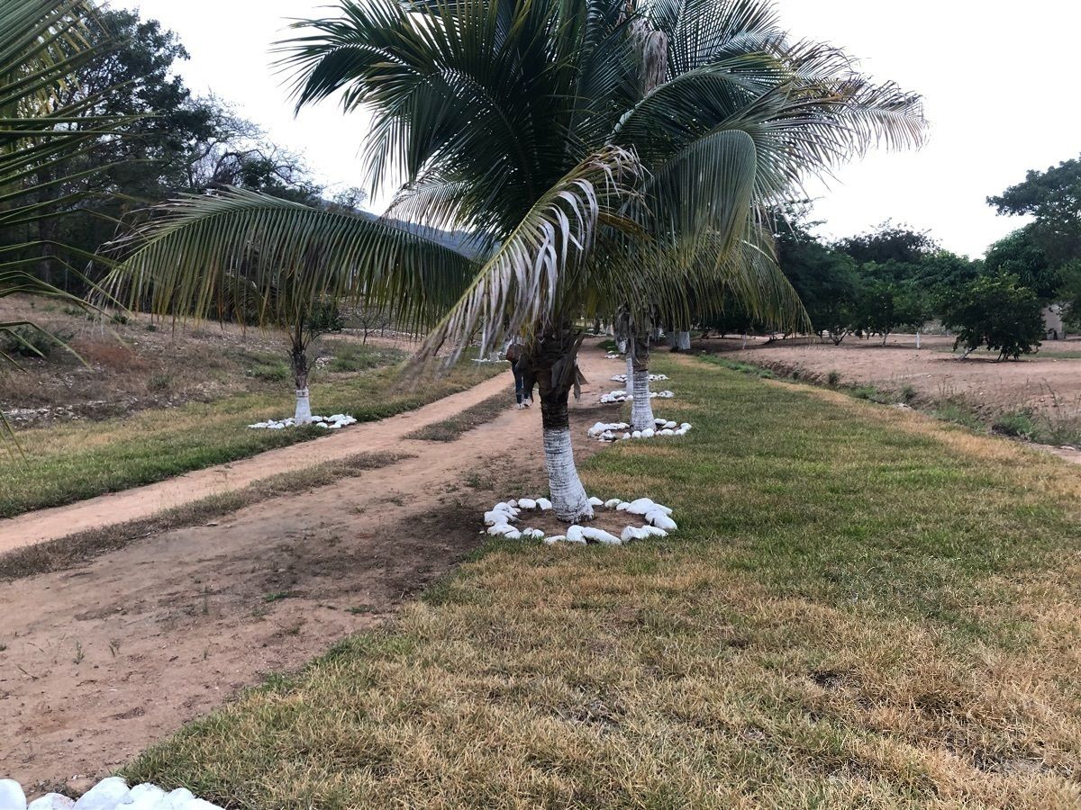 5 de 27
