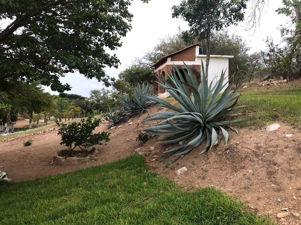 27 de 27