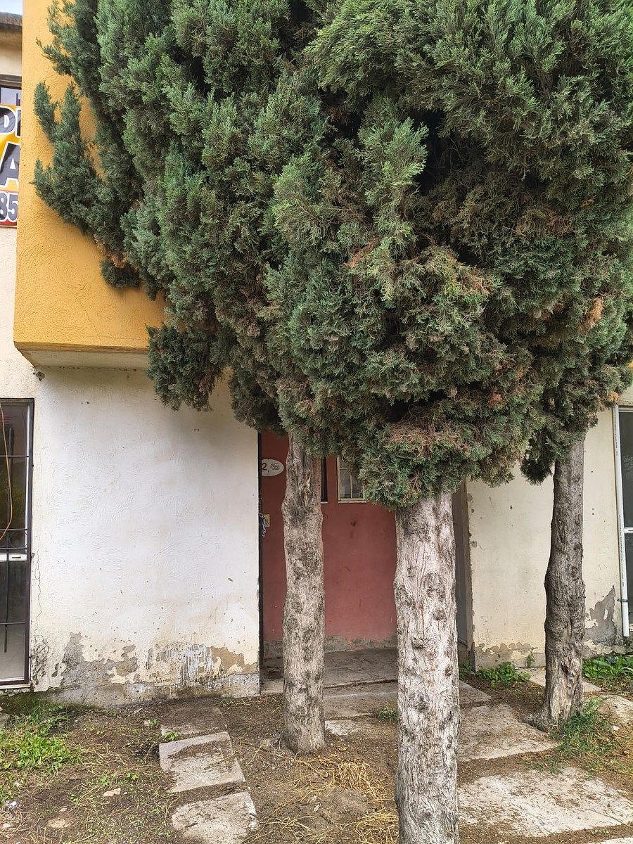 Casa em Paseos de Chalco, Chalco, foto 4 de 22