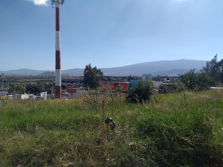 3 de 5
