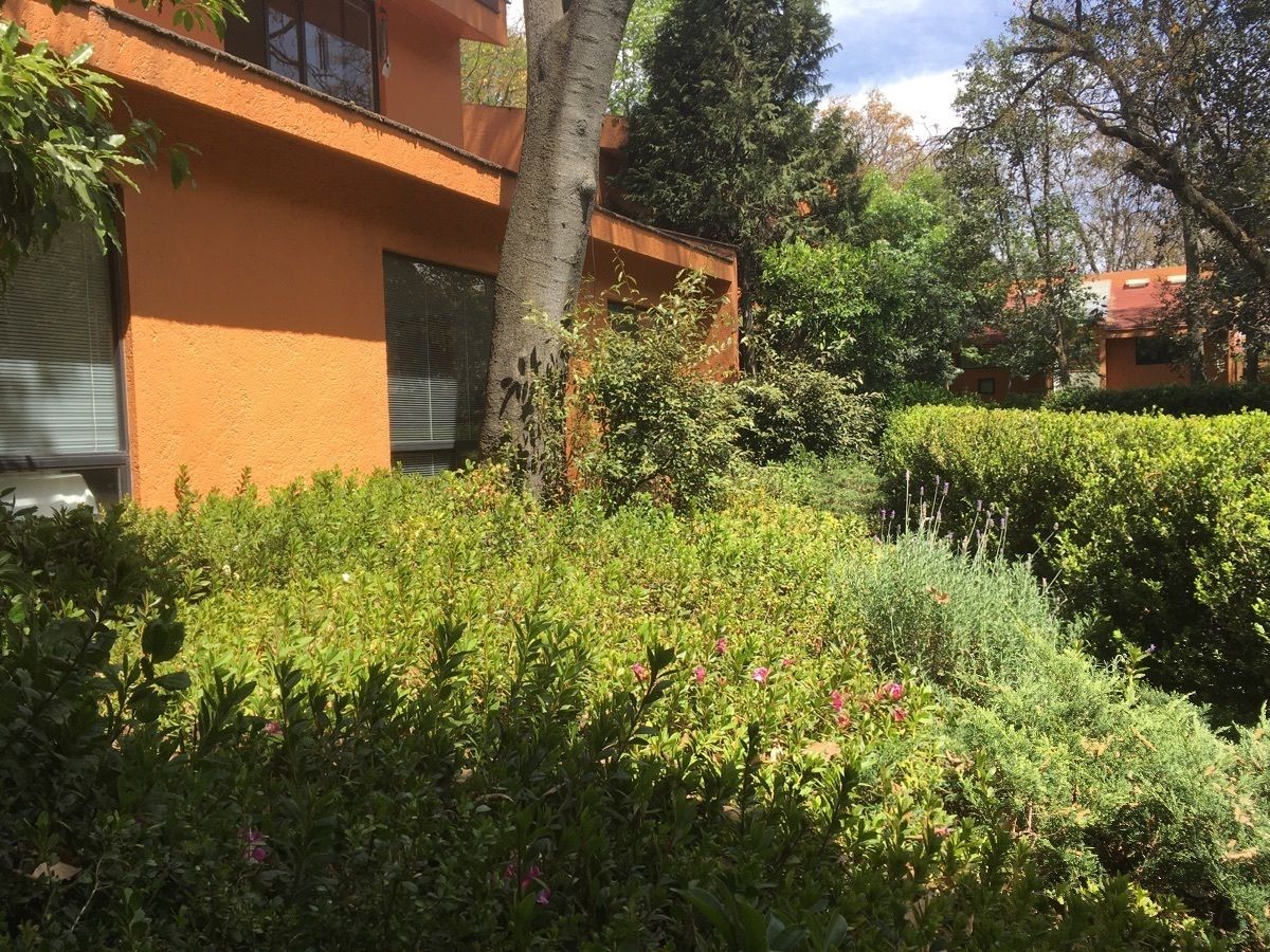 24 de 24: Jardín enfrente 