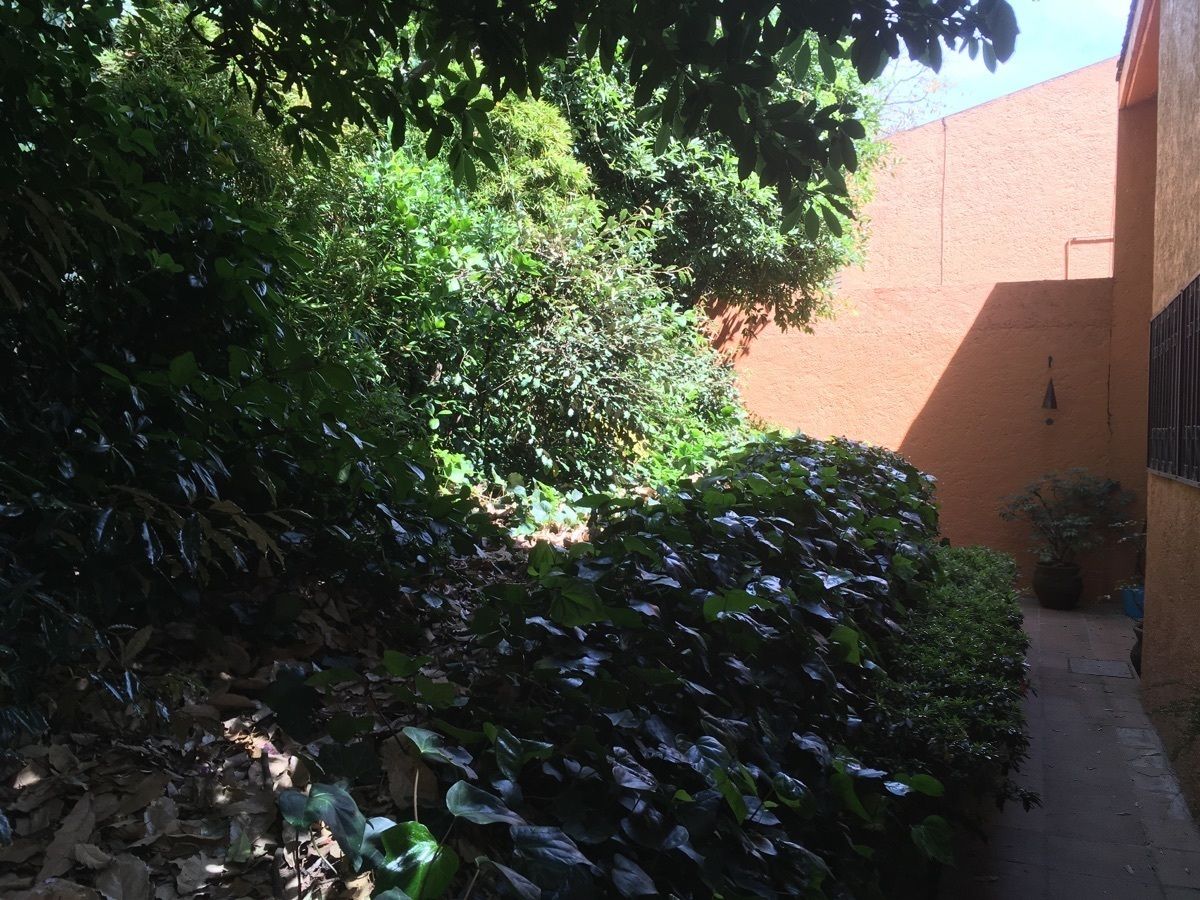 23 de 24: Jardín posterior