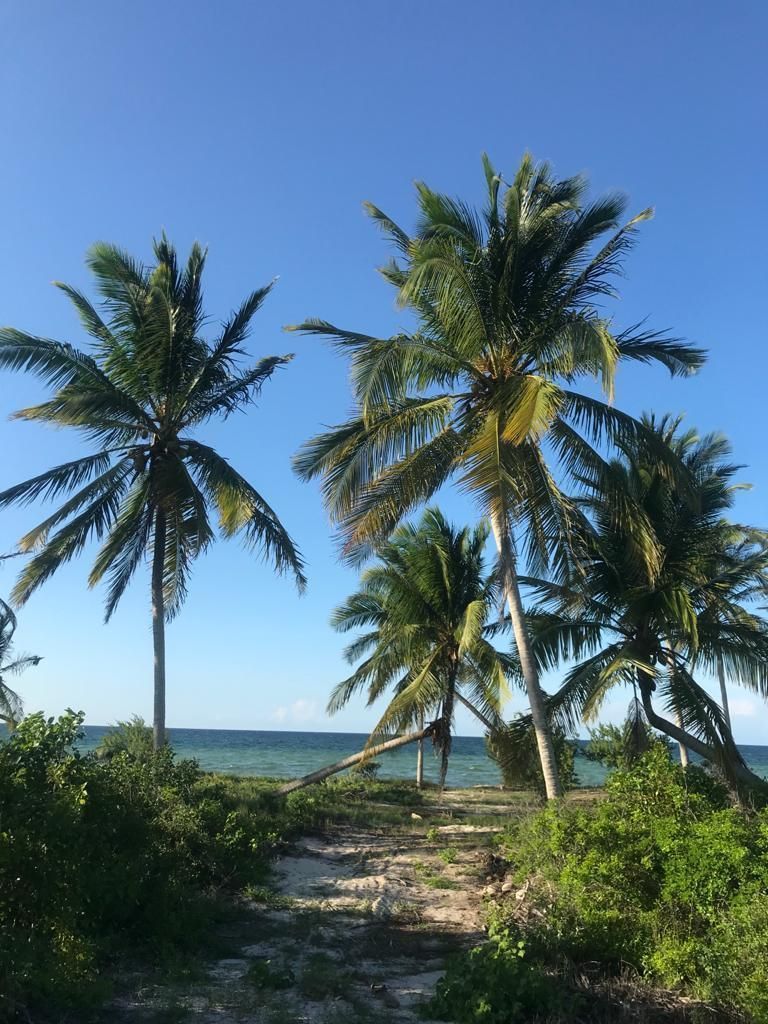 ESPECTACULAR TERRENO ENTRE TELCHAC PUERTO Y SAN CRISANTO | EasyBroker