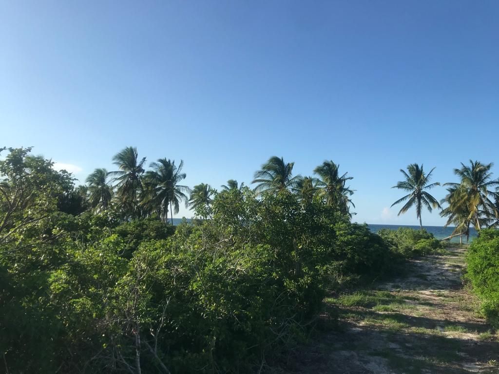 ESPECTACULAR TERRENO ENTRE TELCHAC PUERTO Y SAN CRISANTO | EasyBroker