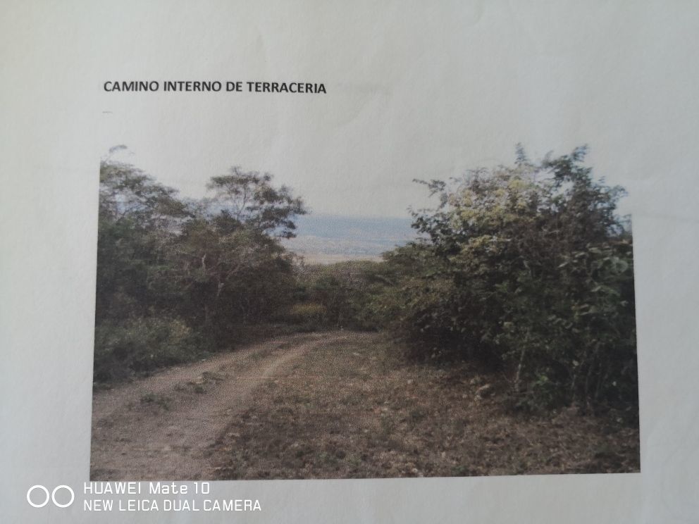 6 de 13: Acceso interno de terraceria