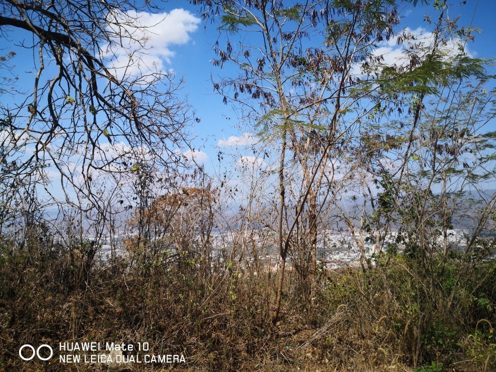 10 de 13: vista del terreno