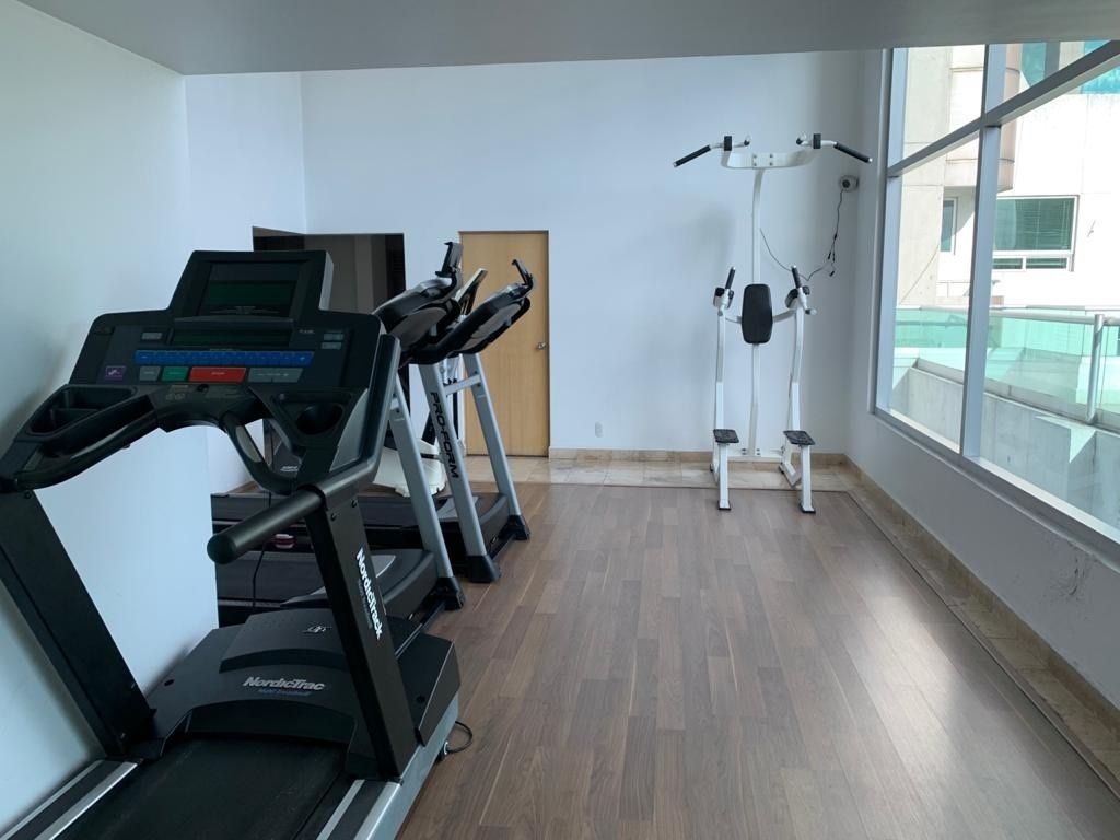 12 de 15: GIMNASIO