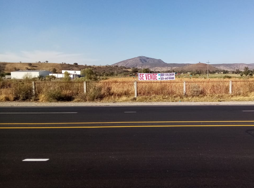 4 de 19