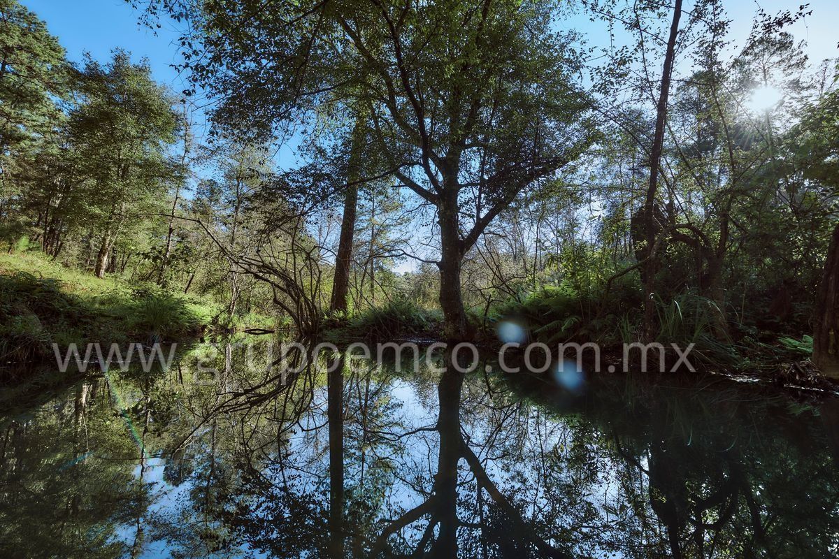 TERRENO CAMPESTRE RESERVA SAN GREGORIO, CONCEPCIÓN DE BUENOS AIRES - foto 3