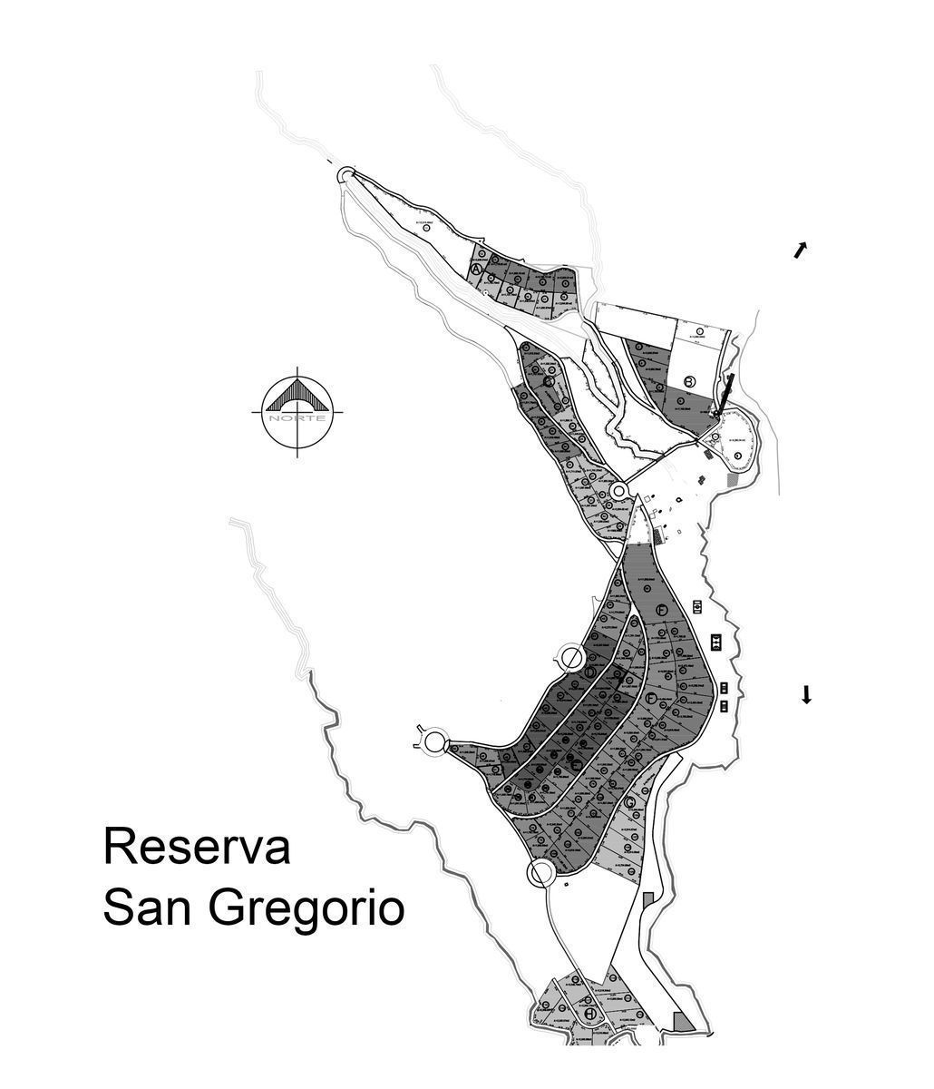 TERRENO CAMPESTRE RESERVA SAN GREGORIO, CONCEPCIÓN DE BUENOS AIRES - foto 3