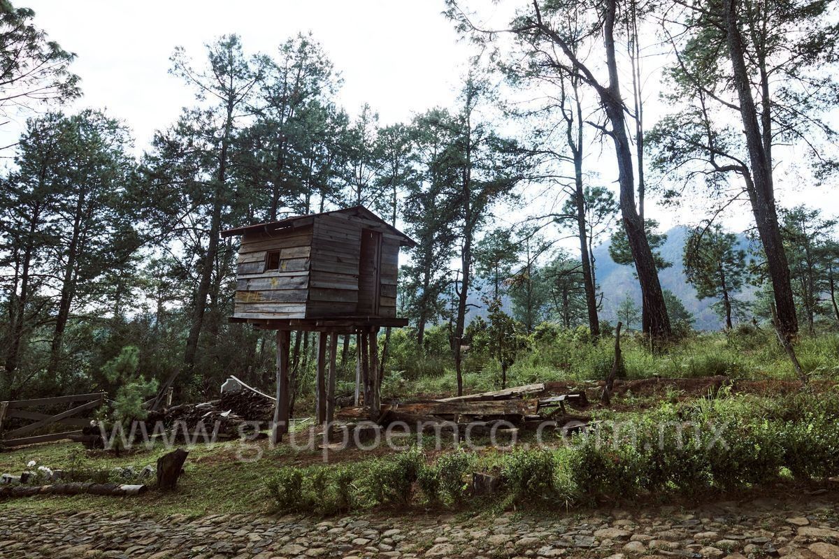 TERRENO CAMPESTRE RESERVA SAN GREGORIO, CONCEPCIÓN DE BUENOS AIRES - foto 1