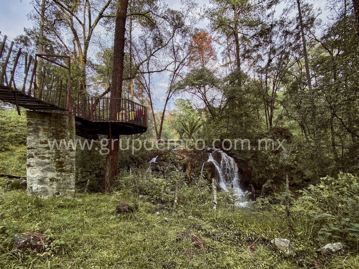 TERRENO CAMPESTRE RESERVA SAN GREGORIO, CONCEPCIÓN DE BUENOS AIRES - foto 5