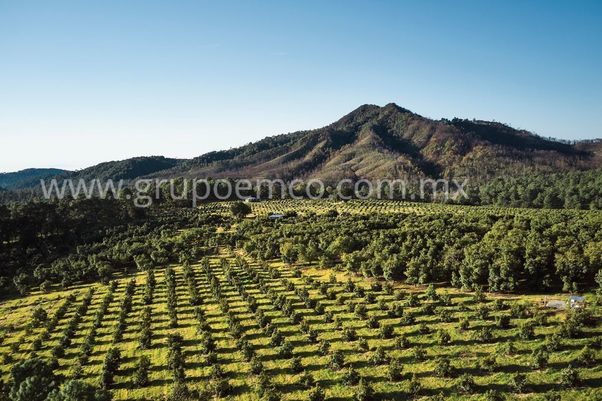 Terreno Campestre Reserva San Gregorio, Concepción de Buenos Aires