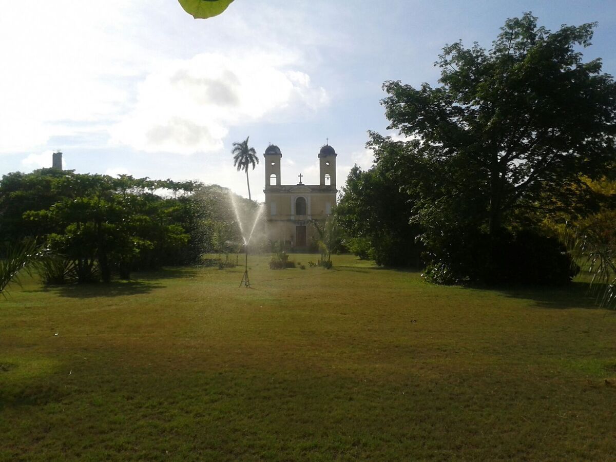 2 de 29