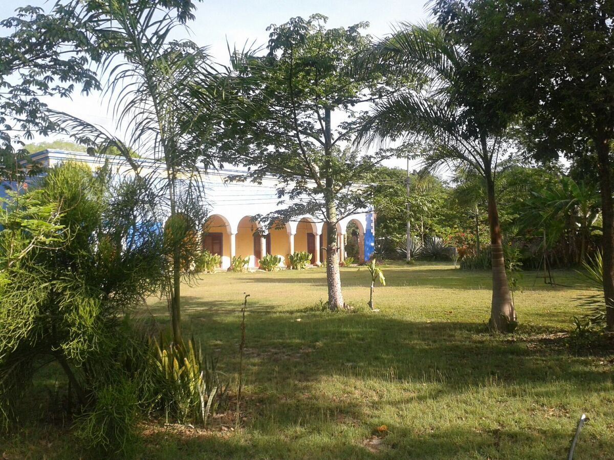 4 de 29