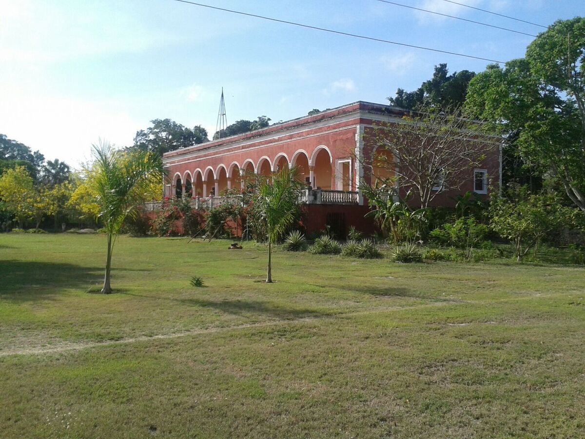 1 de 29