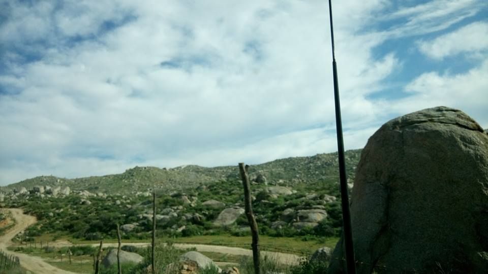 3 de 14