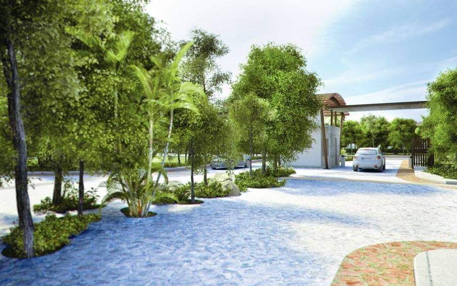 Lot in Puerto Morelos, Puerto Morelos, photo 7 of 11