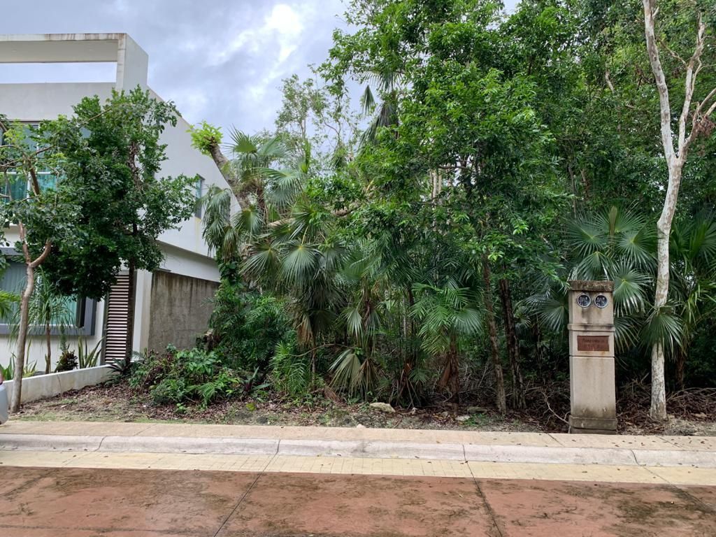 Lot in Puerto Morelos, Puerto Morelos, photo 2 of 11