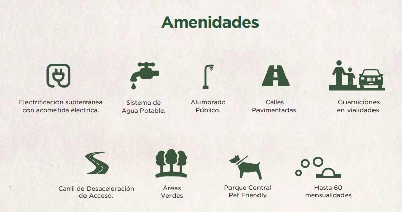 7 de 10