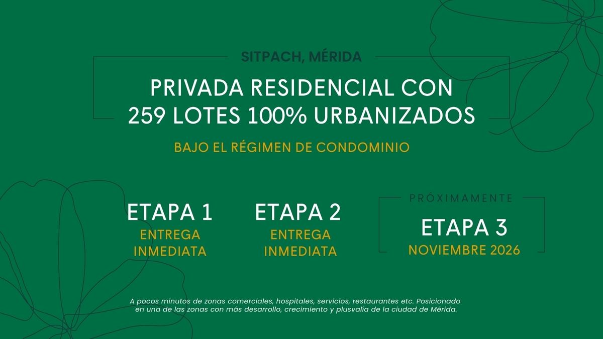 1 de 20