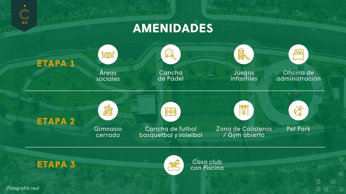8 de 20