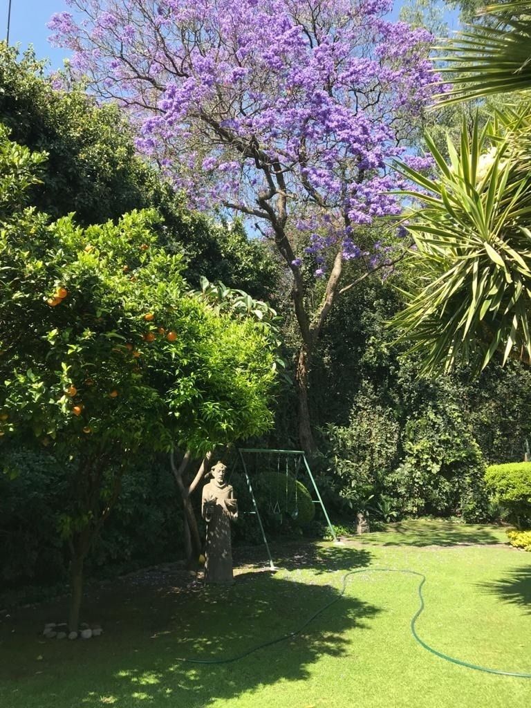 2 de 8