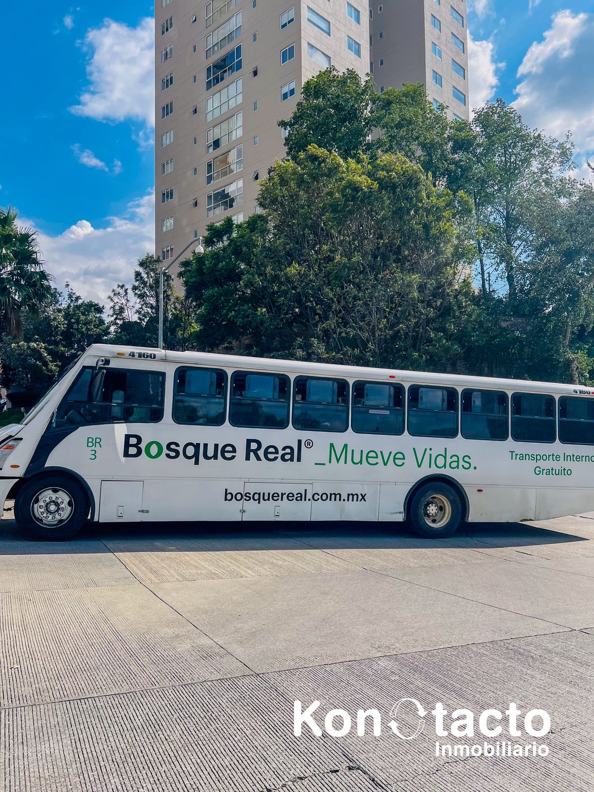 39 de 39