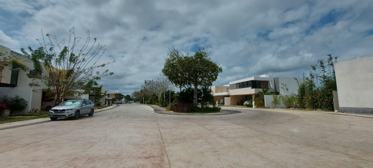 10 de 14: Avenidas amplias con jardines centrales.