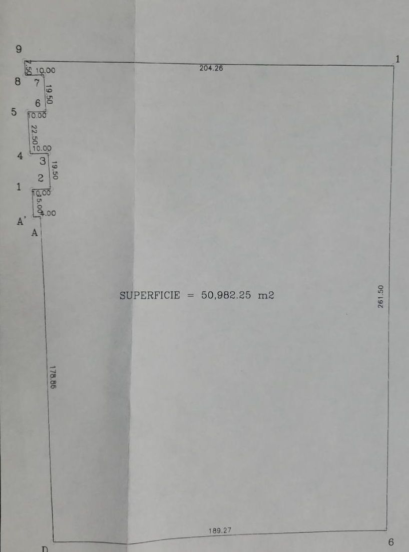 Imagen 2 de 2