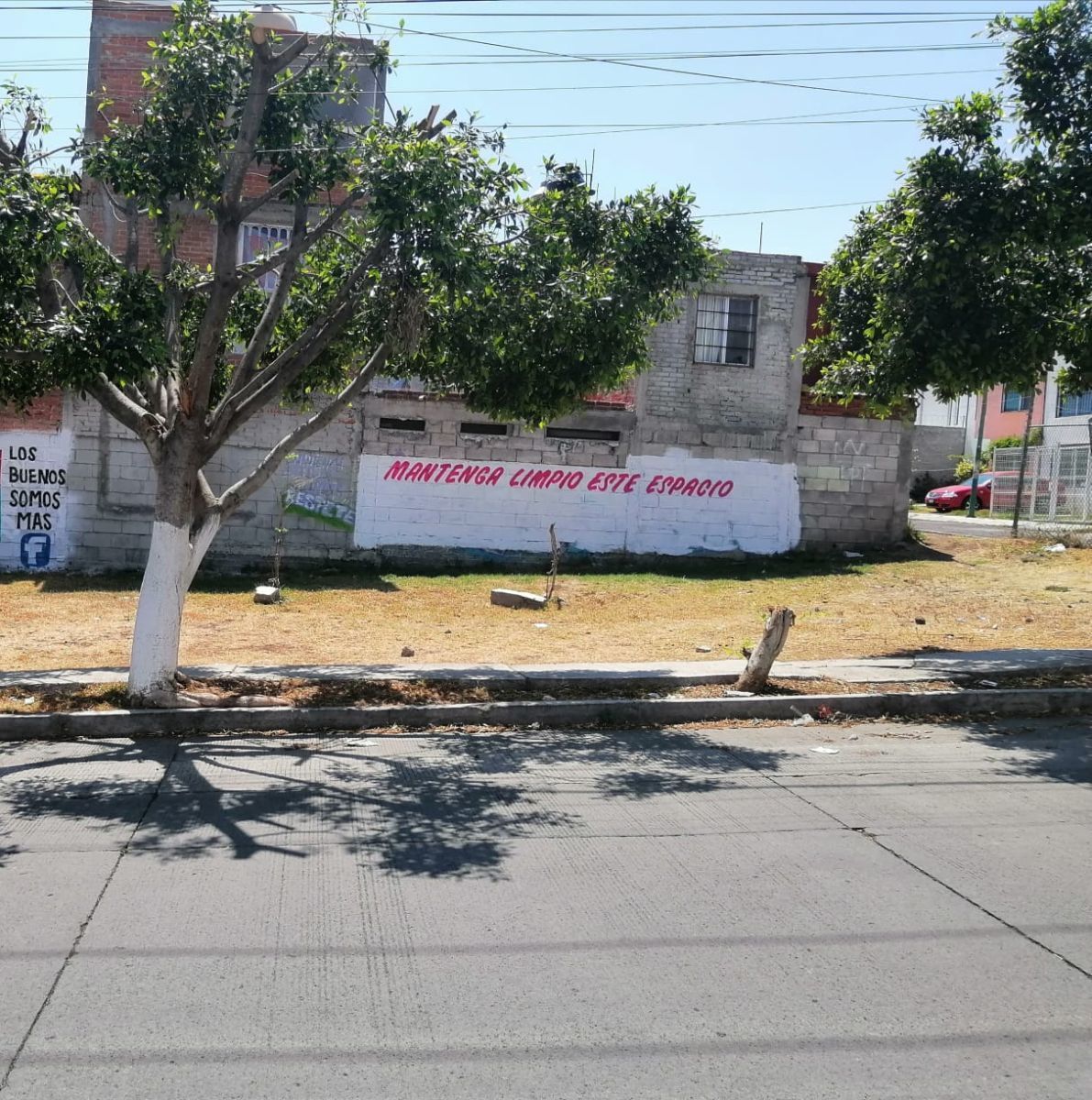 4 de 8