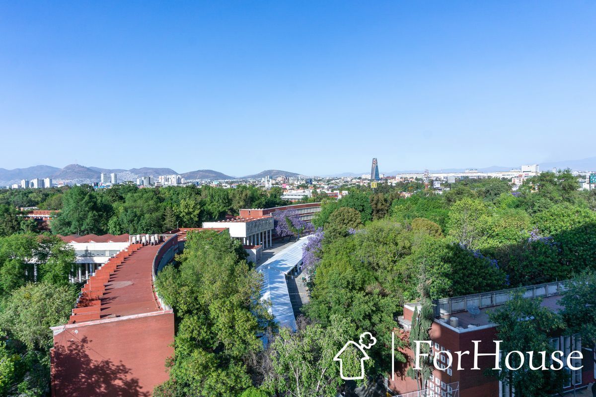 3 de 20: Vista