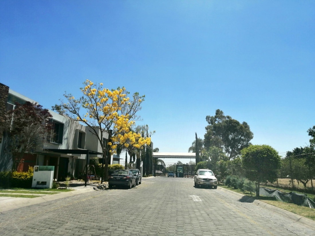 4 de 29