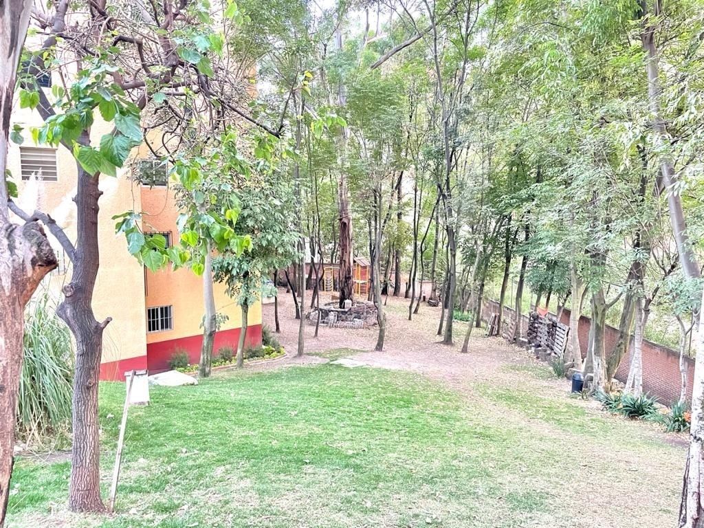 Areas comunes con jardín también para fiestas., foto 3 de 32