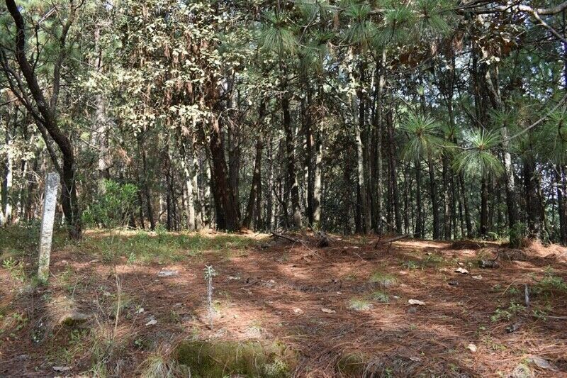 2 de 6: terreno plano